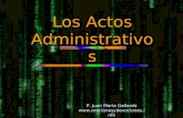 Los Actos Administrativos