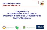 Diagnóstico y Propuestas de Acción para el Desarrollo Económico Competitivo de Nueva Cajamarca