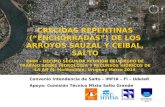 Convenio Intendencia de Salto – IMFIA – FI – UdelaR Apoya: Comisión Técnico Mixta Salto Grande
