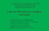 Cálculo Diferencial e Integral Derivada