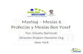 Mashiaj – Mesías 6 Profecías y Mesias Ben Yosef