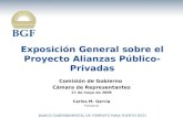 Exposición General sobre el Proyecto Alianzas Público-Privadas