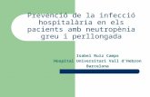 Prevenció de la infecció hospitalària en els pacients amb neutropènia greu i perllongada