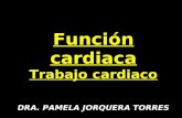 Función cardiaca Trabajo cardiaco