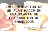 IMPLEMENTACION DE UN PLAN HACCP EN UNA PLANTA DE ELABORACION DE EMBUTIDOS