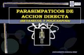 PARASIMPATICOS DE ACCION DIRECTA ( bETANECOL  y  policarpina )