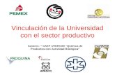 Vinculación de la Universidad con el sector productivo