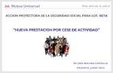 ACCION PROTECTORA DE LA SEGURIDAD SOCIAL PARA LOS   RETA