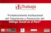 “Fortalecimiento Institucional del Tripartismo y Promoción del  Diálogo Social en el Perú”