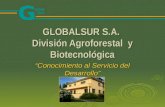 GLOBALSUR S.A.  División Agroforestal  y Biotecnológica