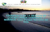 CODOPESCA EN LA GESTION DE LOS RECURSOS COSTEROS Y MARINOS:  Caso Parque Nanional  del  Este