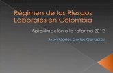 Régimen de los Riesgos Laborales en Colombia