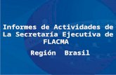 Informes de Actividades de La Secretaría Ejecutiva de FLACMA   Región  Brasil