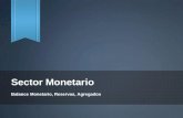 Sector Monetario