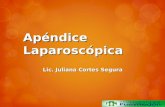 Apéndice  Laparoscópica