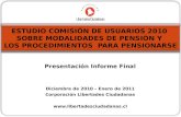 Presentación Informe Final Diciembre de 2010 – Enero de 2011 Corporación Libertades Ciudadanas