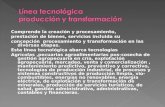 Línea tecnológica  producción y transformación