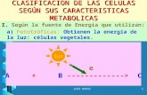CLASIFICACION DE LAS CELULAS SEGÚN SUS CARACTERISTICAS METABOLICAS