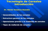 Tecnología de Cereales Introducción