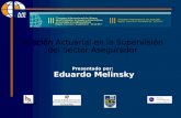 Función Actuarial en la Supervisión del Sector Asegurador Presentado por:  Eduardo Melinsky