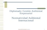 Diplomado: Gestión Ambiental Empresarial Normatividad Ambiental Internacional