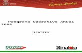 Programa Operativo Anual 2008