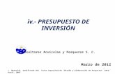 iv .- PRESUPUESTO  DE INVERSIÓN