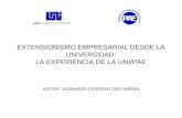 EXTENSIONISMO EMPRESARIAL DESDE LA UNIVERSIDAD: LA EXPERIENCIA DE LA UNI/PAE