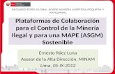 Plataformas de Colaboración para el Control de la Minería Ilegal y para una MAPE (ASGM) Sostenible