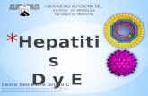 Hepatitis  D y E