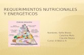 Requerimientos nutricionales y energéticos