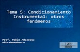 Tema 5: Condicionamiento Instrumental: otros fenómenos