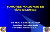 TUMORES MALIGNOS DE VÍAS BILIARES