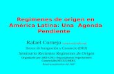 Regímenes de origen en América Latina: Una  Agenda Pendiente