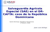 Salvaguardia Agrícola Especial (SAE) en el DR-CAFTA: caso de la República Dominicana