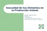 Inocuidad de los Alimentos en la Producción Animal