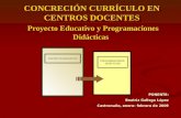 CONCRECIÓN CURRÍCULO EN CENTROS DOCENTES Proyecto Educativo y Programaciones Didácticas