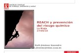 REACH y prevención del riesgo químico La Rioja 27/05/10