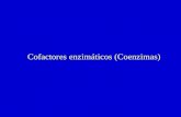 Cofactores enzimáticos (Coenzimas)