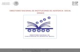 DIRECTORIO NACIONAL DE INSTITUCIONES DE ASISTENCIA  SOCIAL  ( DNIAS )