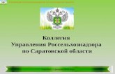 Коллегия  Управления  Россельхознадзора по  Саратовской  области
