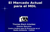 El Mercado Actual para el MDL