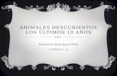 ANIMALES DESCUBIERTOS LOS ÚLTIMOS 10 AÑOS