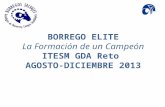 BORREGO ELITE La  Formación  de un  Campeón ITESM GDA  Reto  AGOSTO-DICIEMBRE 2013