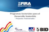 Programas  S ectoriales para el  Desarrollo Sostenible