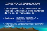 DERECHO DE SINDICACION