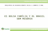 El BOLSA FAMÍLIA Y EL BRASIL SEM MISÉRIA