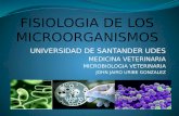 FISIOLOGIA DE LOS MICROORGANISMOS