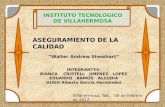 INSTITUTO TECNOLOGICO DE VILLAHERMOSA