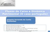 Fluxos de Caixa e Dinâmica Patrimonial (O caso português)